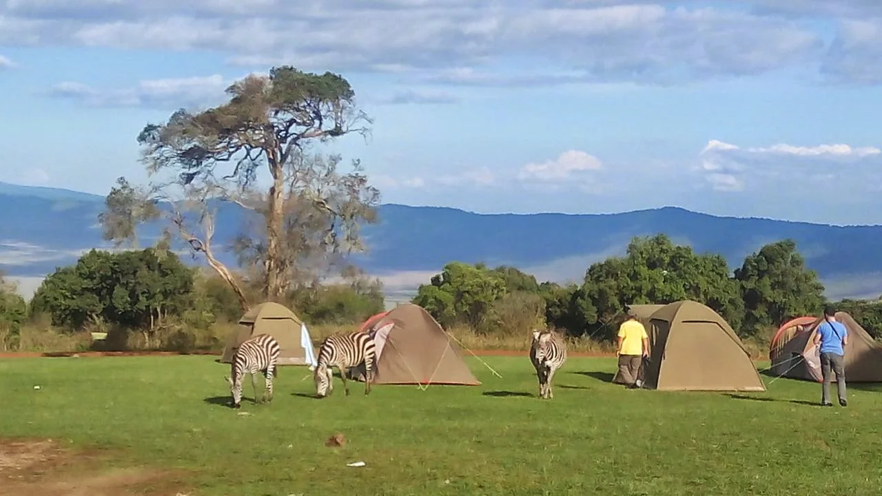 Simba A Public Campsite — Ngorongoro Conservation Area