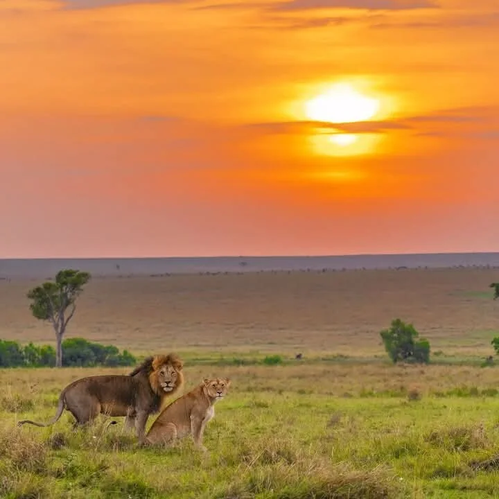 WILDERNESS INSIGHTS SAFARIS — image 2