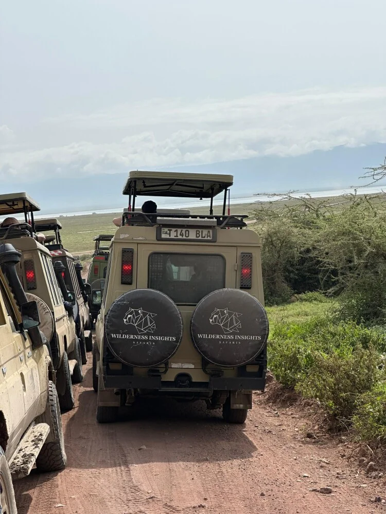 WILDERNESS INSIGHTS SAFARIS — image 1